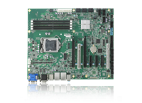 IMB-M43-C236