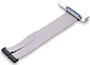 ACL-10337